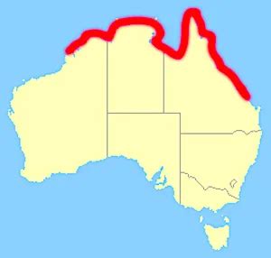 box jellyfish world distribution|australian box jellyfish diet.